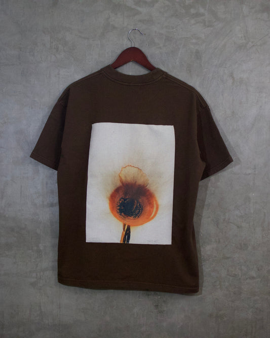 "Flor del Ojo: La Mirada del Universo"